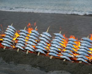 mixed in key review estepona mixed in key review estepona