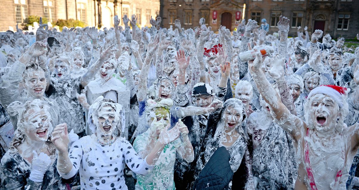 Friday Roundup Whipped